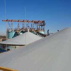 Harmony Gold Steyn 1