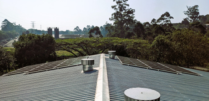 Pinetown Commercial — site photograph 2